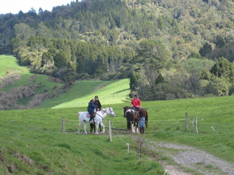Kaimai Country Lodge Katikati Kültér fotó