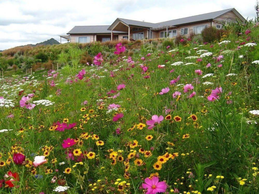 Kaimai Country Lodge Katikati Kültér fotó